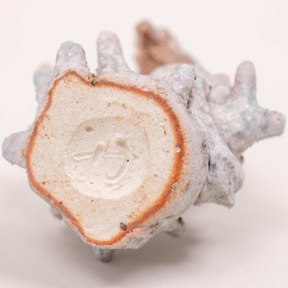 益子焼 今成誠一 タツノオトシゴ 置物 共箱