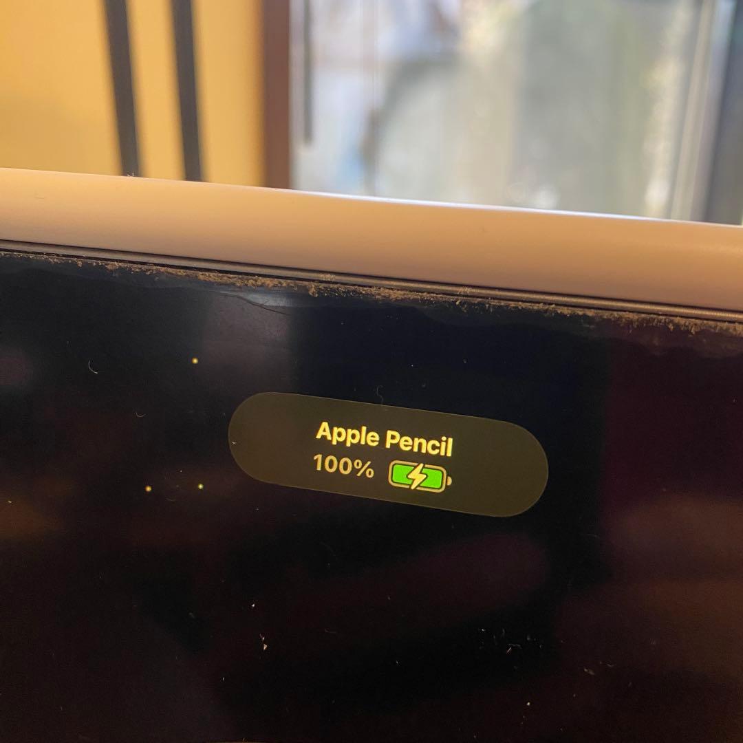 Apple Pencil 第2世代 アップルペンシル MU8F2J/A 元箱付