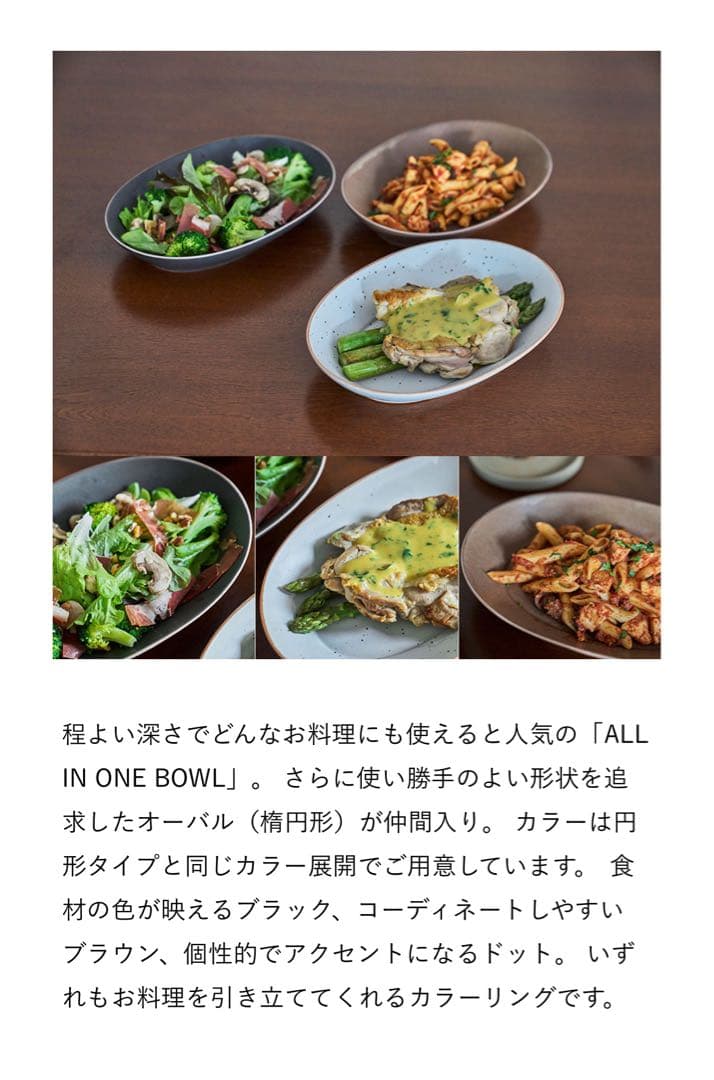 【2枚セット】ACTUS ALL IN ONE オーバルプレート 2枚セット