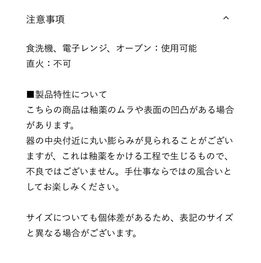 【2枚セット】ACTUS ALL IN ONE オーバルプレート 2枚セット