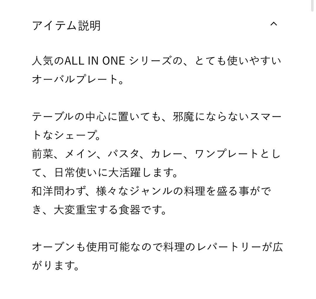 【2枚セット】ACTUS ALL IN ONE オーバルプレート 2枚セット