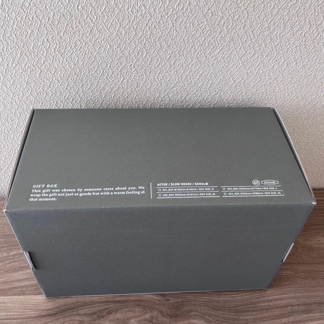 【2枚セット】ACTUS ALL IN ONE オーバルプレート 2枚セット