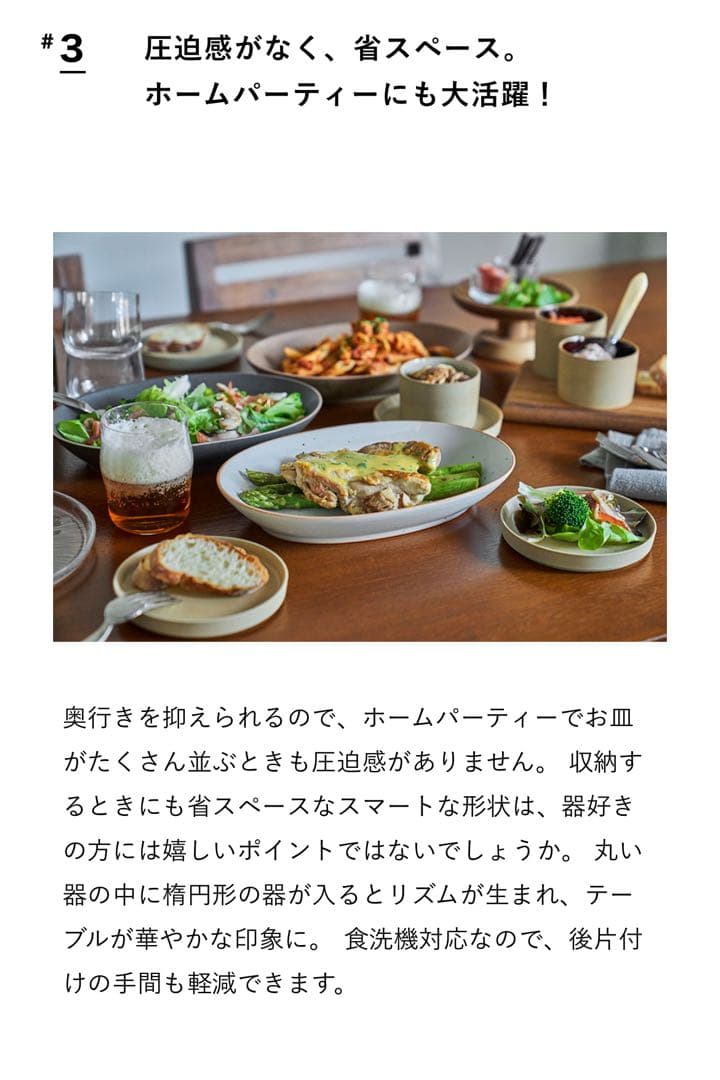 【2枚セット】ACTUS ALL IN ONE オーバルプレート 2枚セット