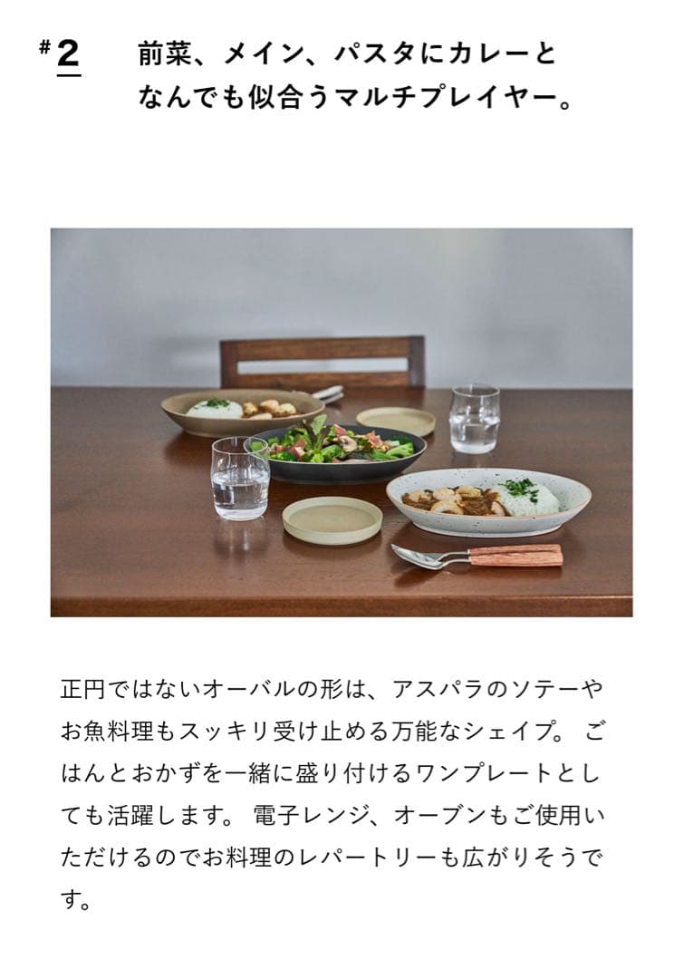 【2枚セット】ACTUS ALL IN ONE オーバルプレート 2枚セット