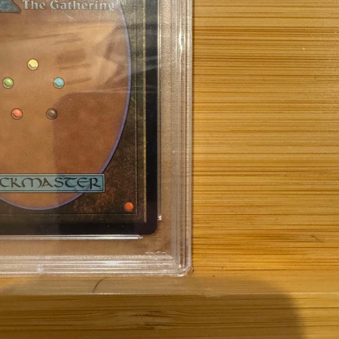 PSA10 森 オイルスリックFoil ファイレクシア 英語版