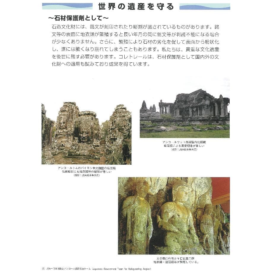 業務用　コケ・コンクリートの黒ずみに。４kg