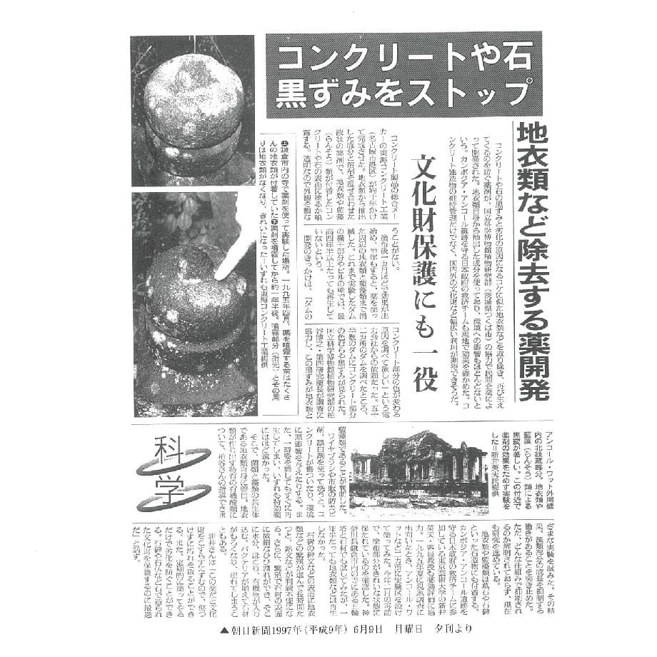 業務用　コケ・コンクリートの黒ずみに。４kg