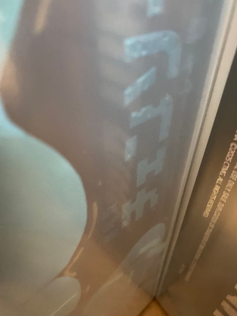 チェンソーマン　レゼ篇　マキマ　レゼ　超レア　台湾　韓国　特典　a3 おまけ付き