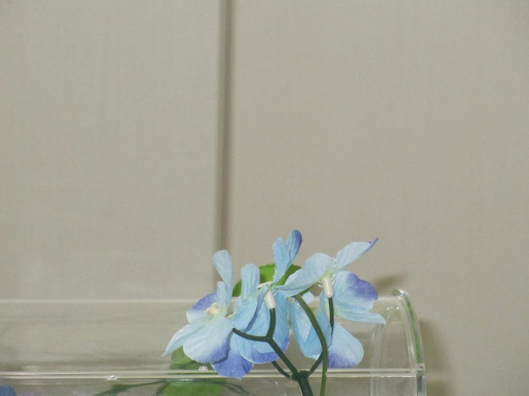Canon カメラ　IXY 600F PC1676 充電器　箱　コンデジ　動作品