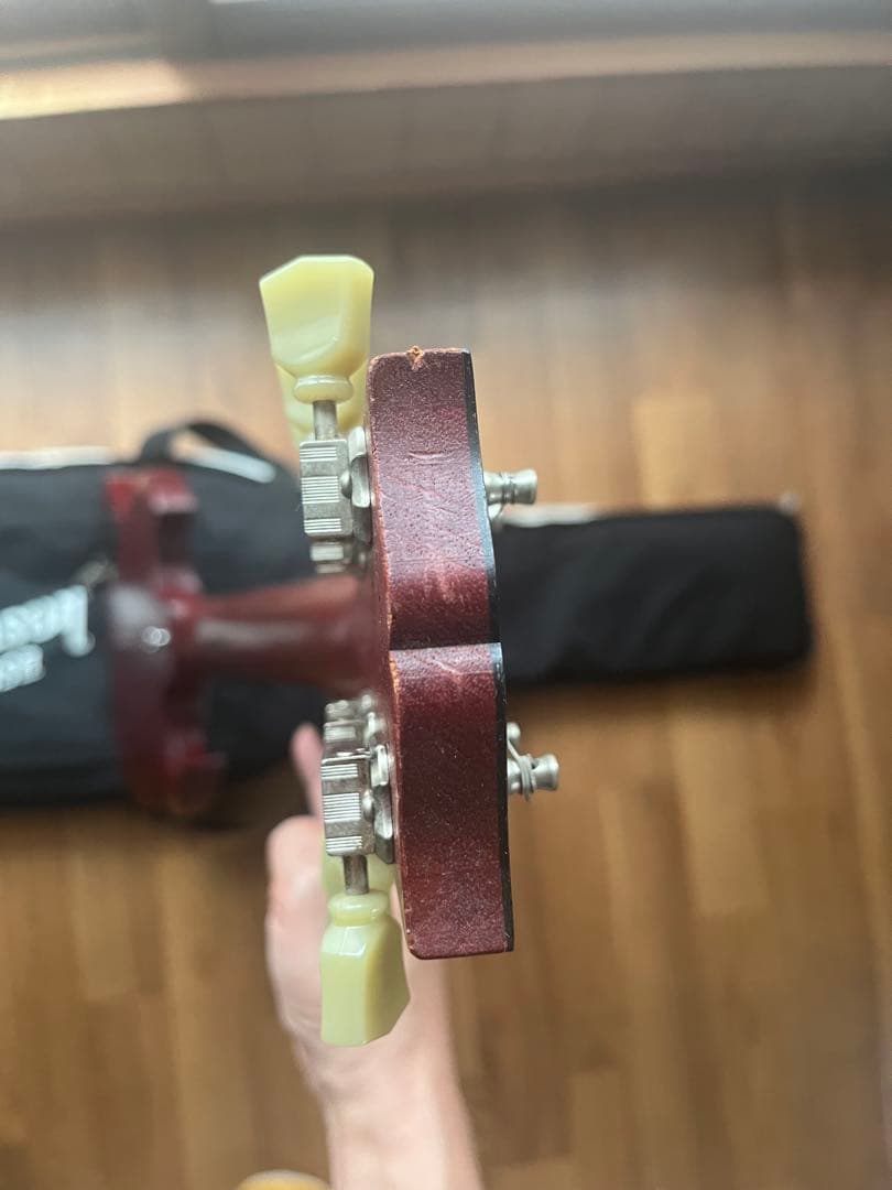 Gibson SG Special Faded 改有り リアP JB SH-4