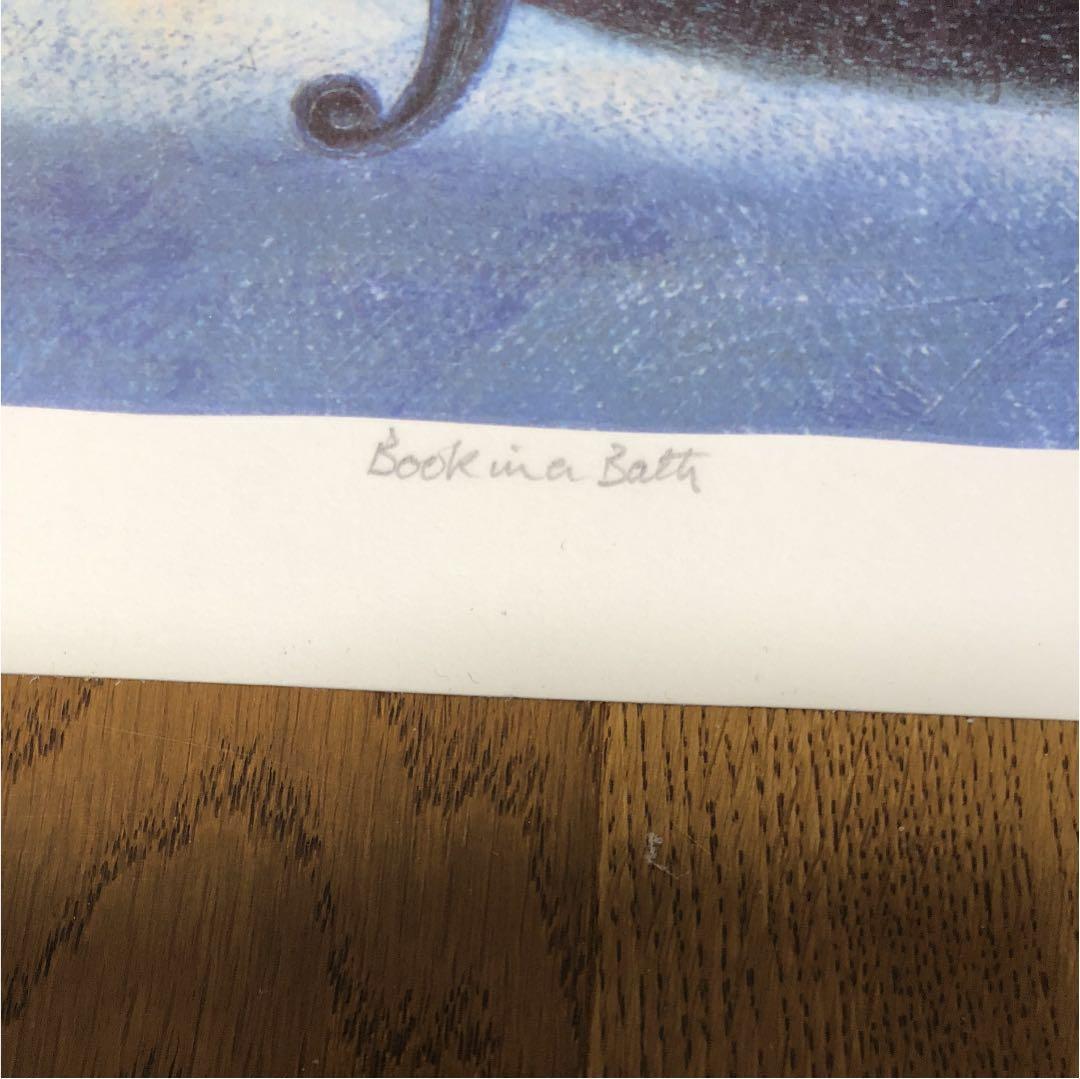 【限定価格‼️】ポーラマッカードル Book in a bath