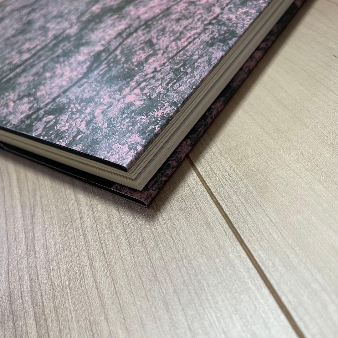 千住博 画集 水の音　美品