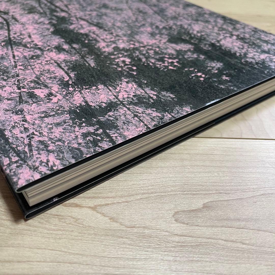 千住博 画集 水の音　美品