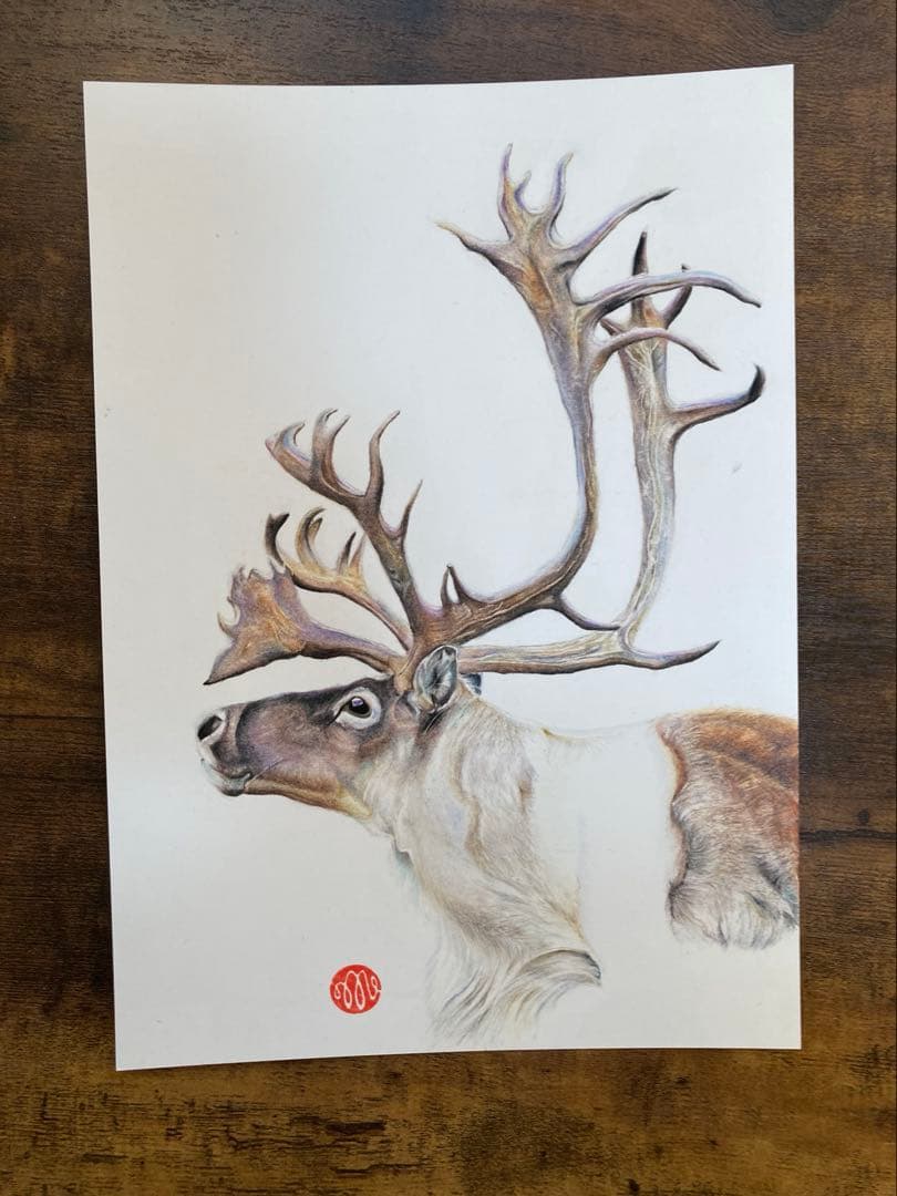 色鉛筆画 トナカイ