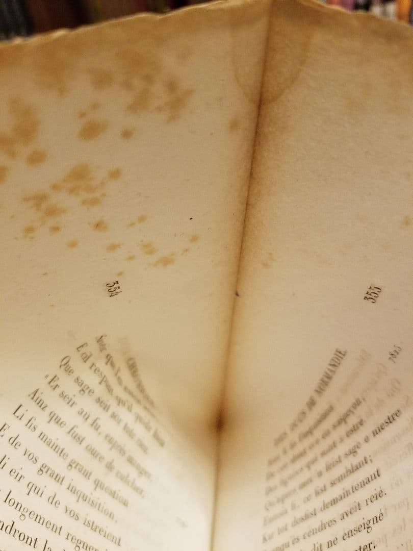 古書 洋書 ビブリオマニア ノルマンディー公記 フランス 歴史 歴女