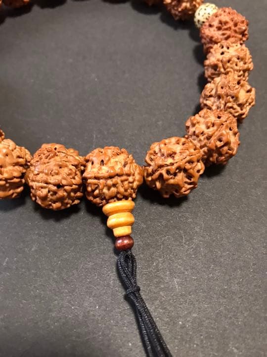 m-84 念珠　数珠　ルドラクシャ　菩提樹