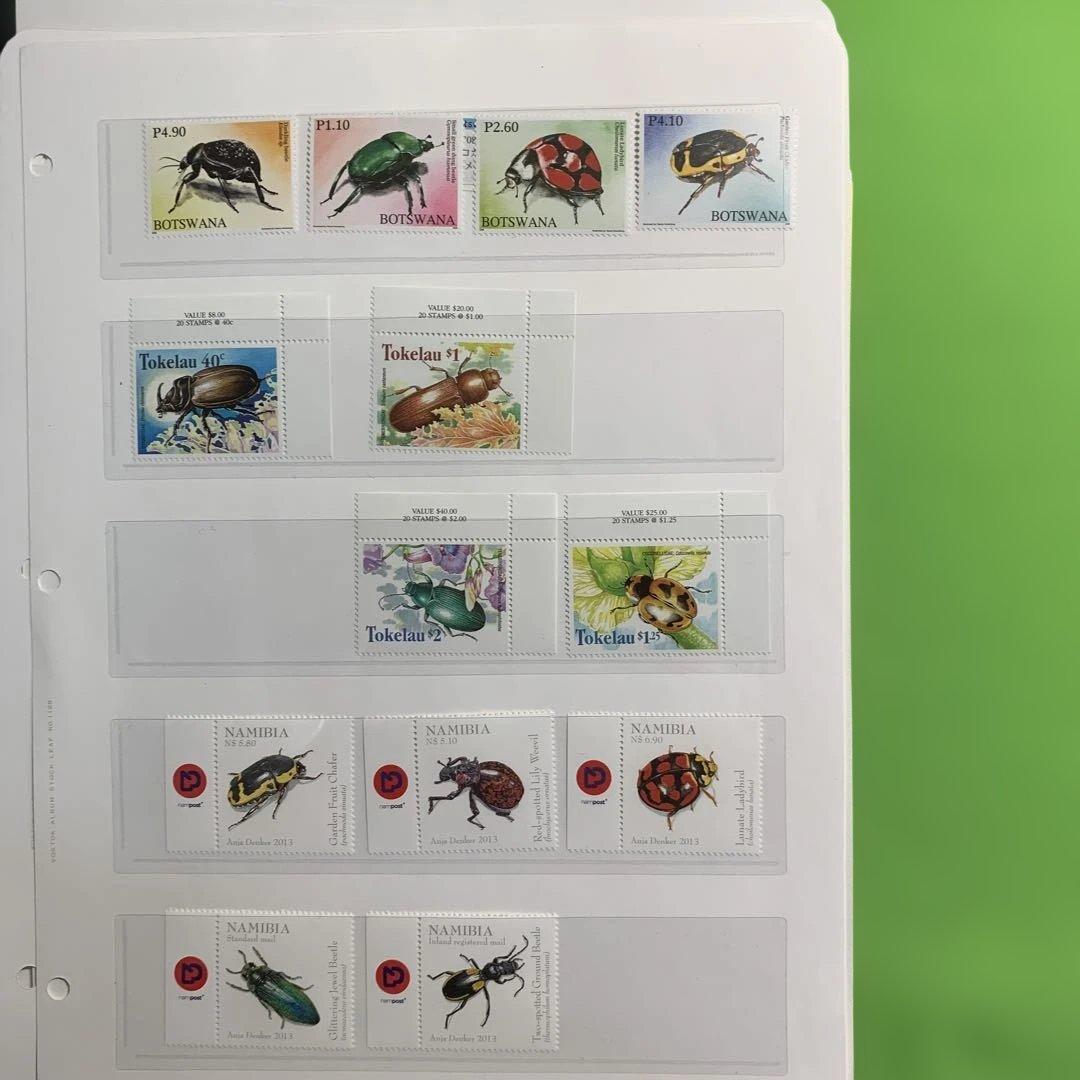 381 世界の昆虫　イギリス，マレーシア，他