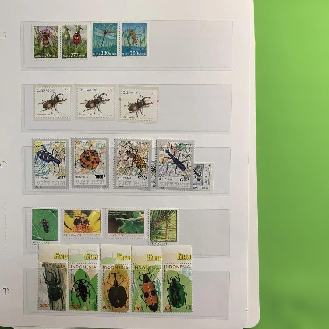 381 世界の昆虫　イギリス，マレーシア，他
