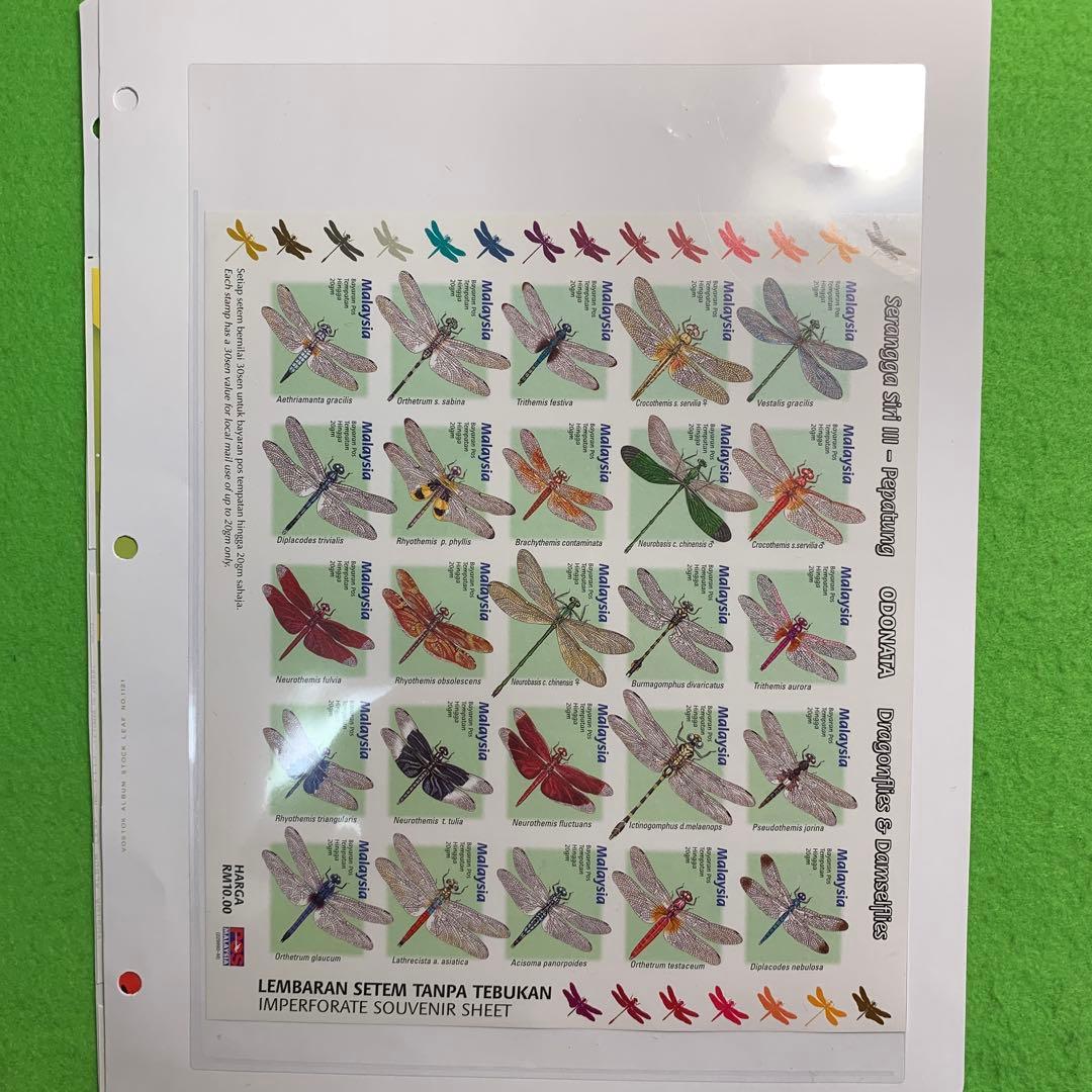 381 世界の昆虫　イギリス，マレーシア，他