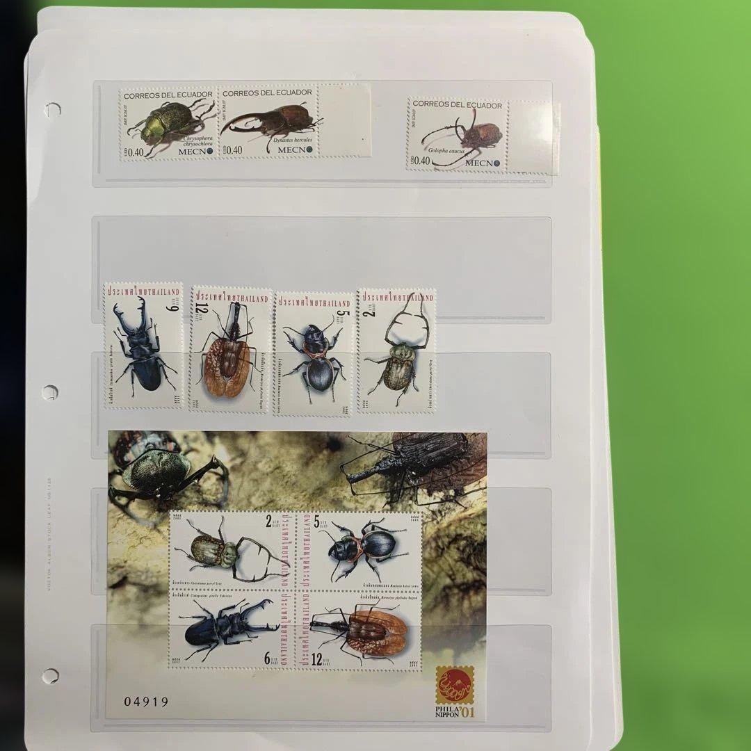 381 世界の昆虫　イギリス，マレーシア，他