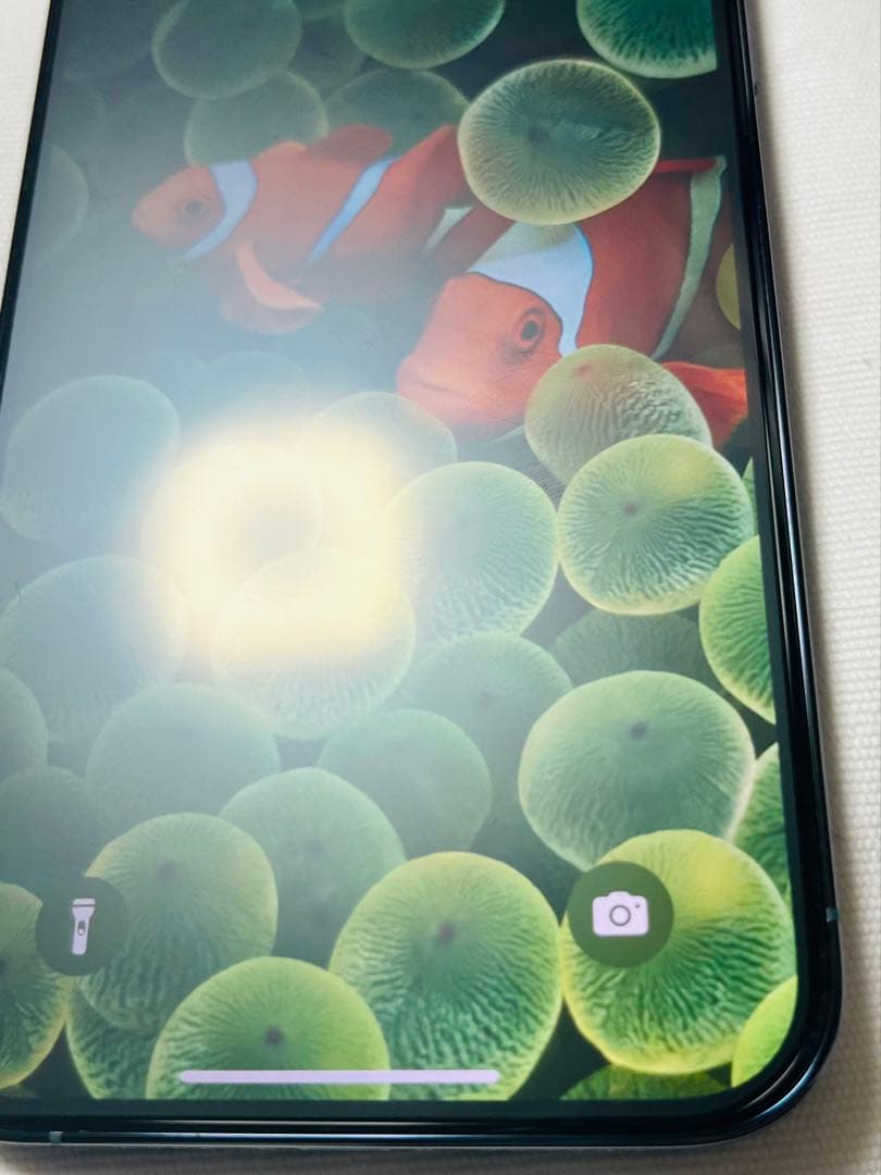 【美品・完品】iPhone13 ProMax 256GB シエラブルー 端末本体