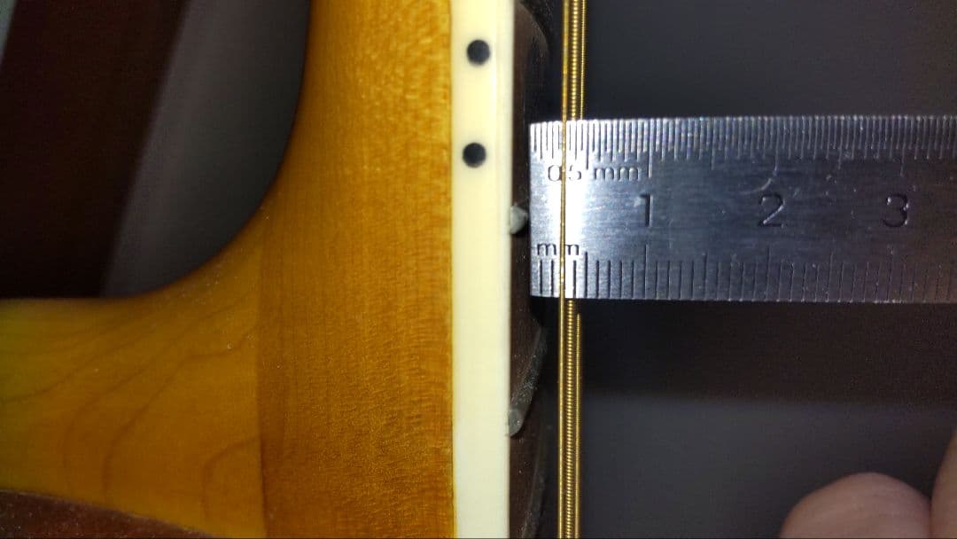 N-glorify 12弦アコースティックギター ジャンク品