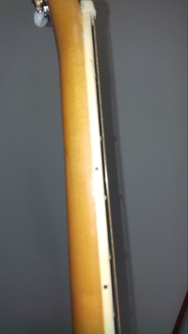 N-glorify 12弦アコースティックギター ジャンク品