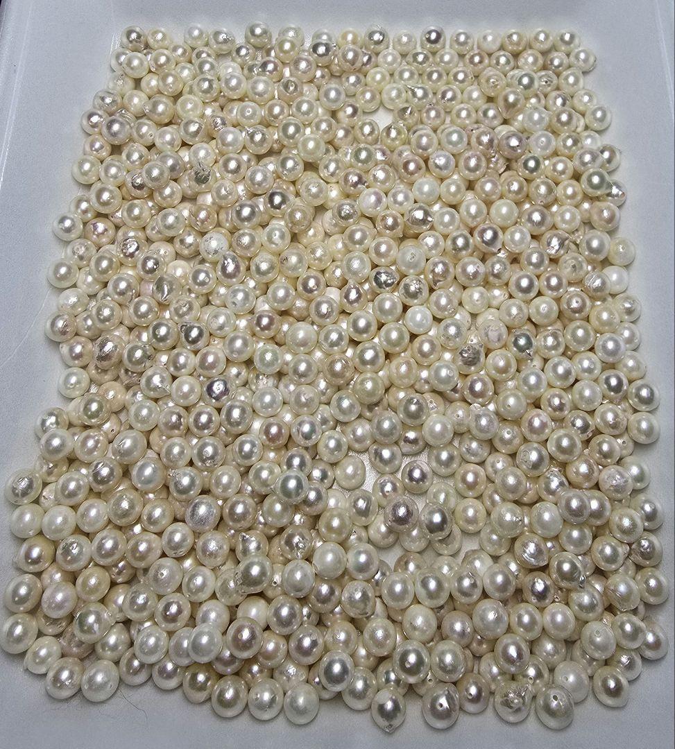 あこや真珠 両穴 ルース 200個 7.5〜8mm パール pearl