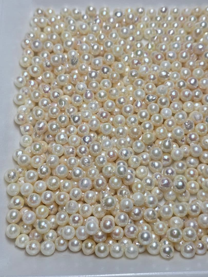 あこや真珠 両穴 ルース 200個 7.5〜8mm パール pearl