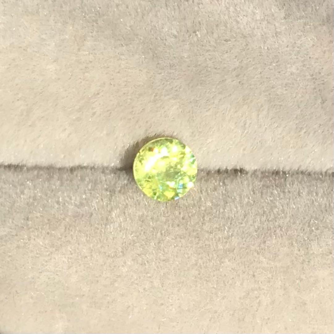 ゆきにゃん様
