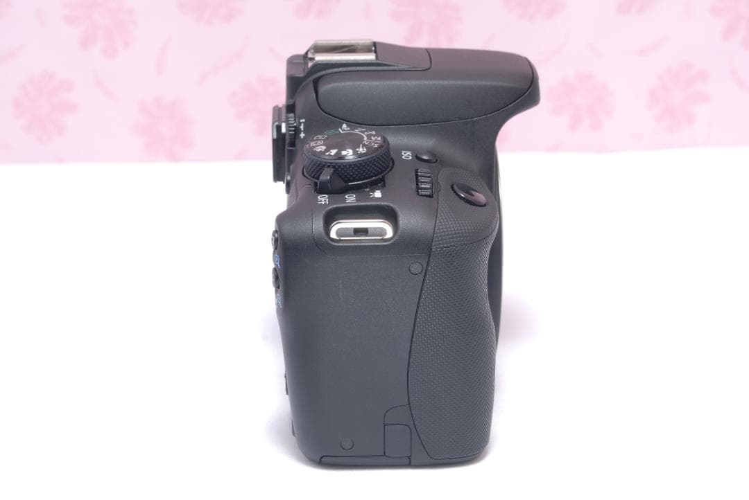 ⭐️ショット数約１９００回⭐️Canon Kiss X7 キャノン　デジタル一眼