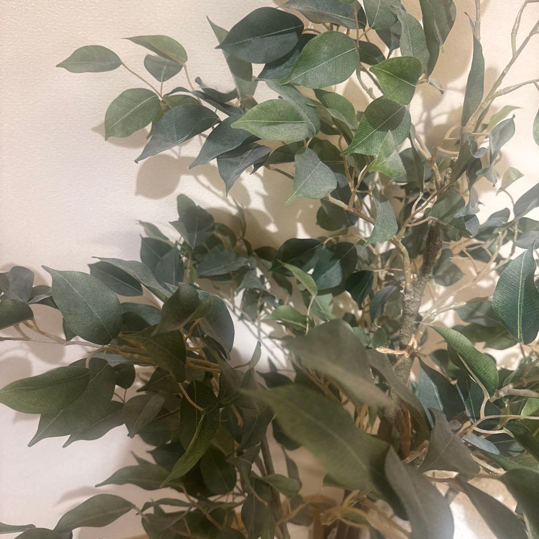 お値下げ人工観葉植物フェイクグリーン フィカス150cm Posh Living