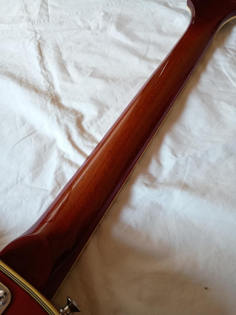 Fresher レスポール カスタム ソフトケース MADE IN JAPAN