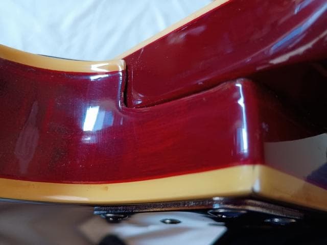 Fresher レスポール カスタム ソフトケース MADE IN JAPAN