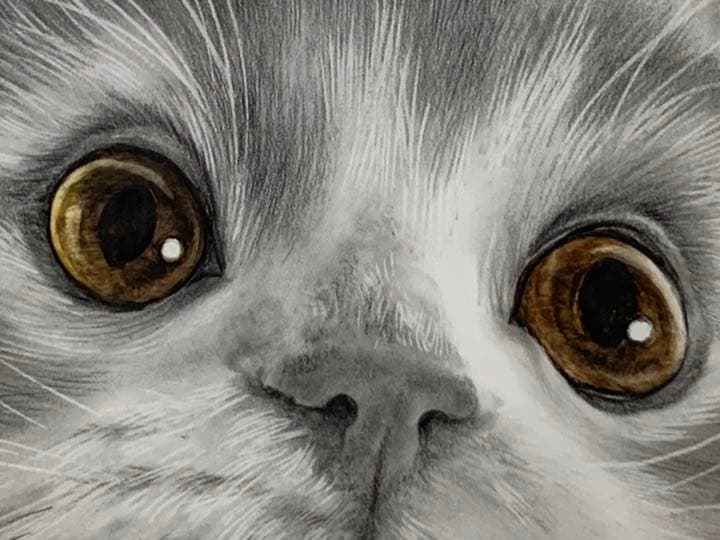 画家 白井真澄 木炭肉筆デッサン画  原画 真筆保証品！額入cat NO.30
