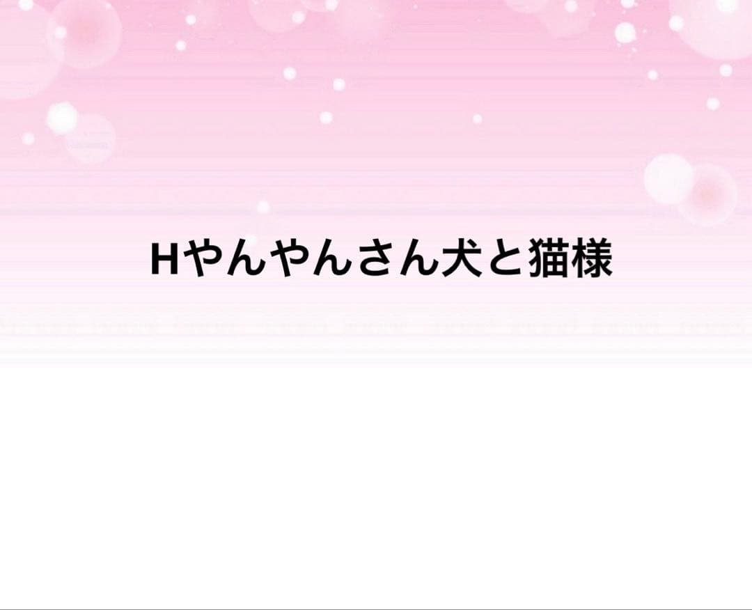 スペシャルSALE 巾着　猫柄　ハンドメイド　小物入れ　おやつ入れ　ユキエモン
