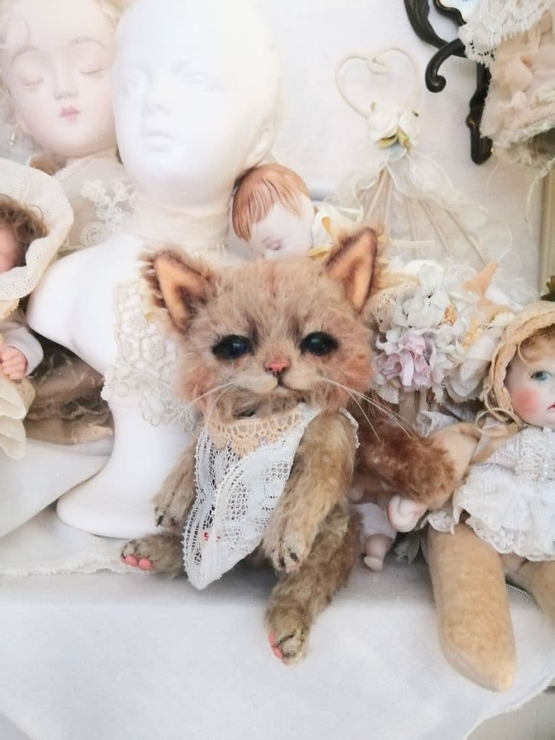 (ΦωΦ)ぷっくりほっぺ♥にゃ~おん♥里親様募集・限定♥猫