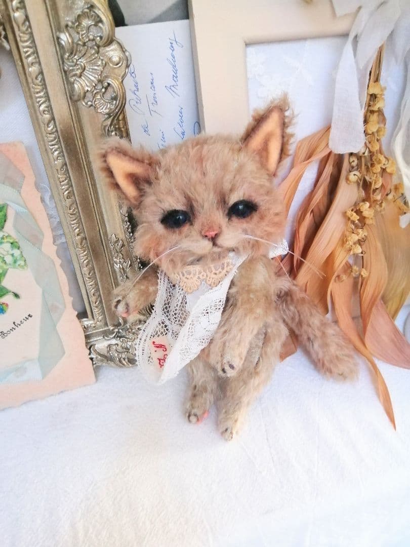 (ΦωΦ)ぷっくりほっぺ♥にゃ~おん♥里親様募集・限定♥猫