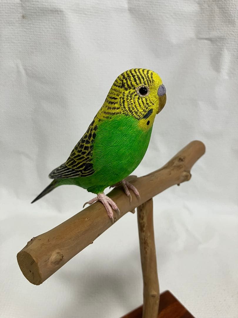 バードカービング(セキセイインコ)