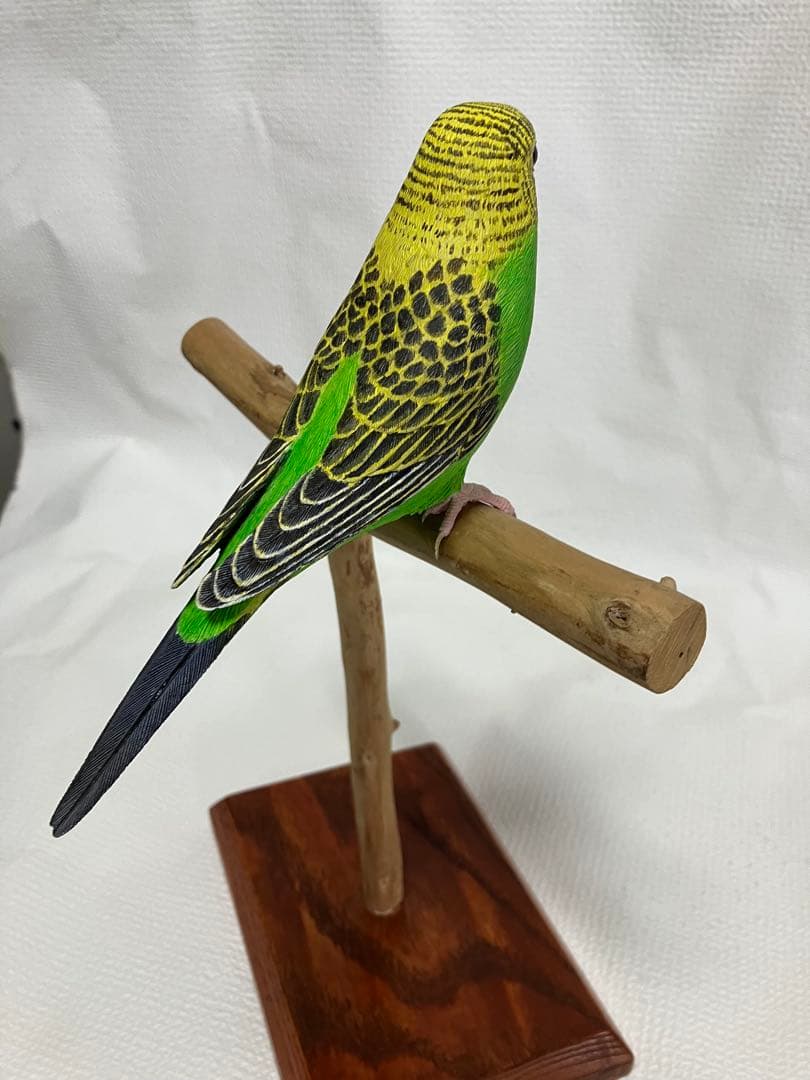 バードカービング(セキセイインコ)