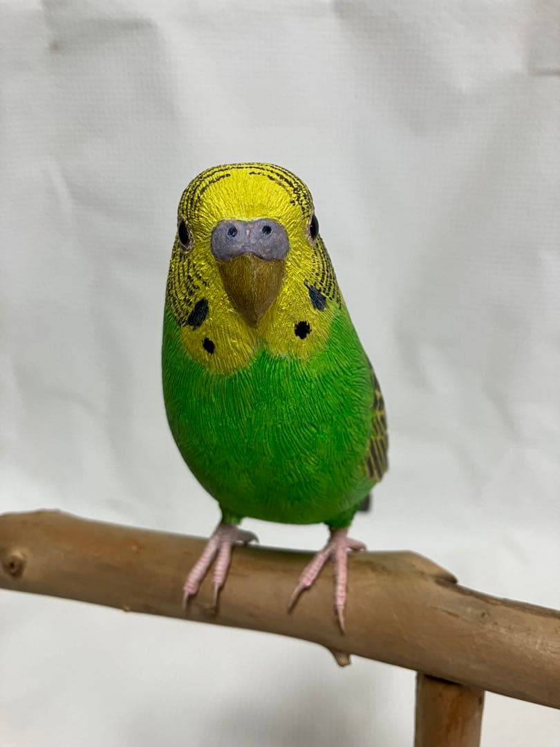 バードカービング(セキセイインコ)