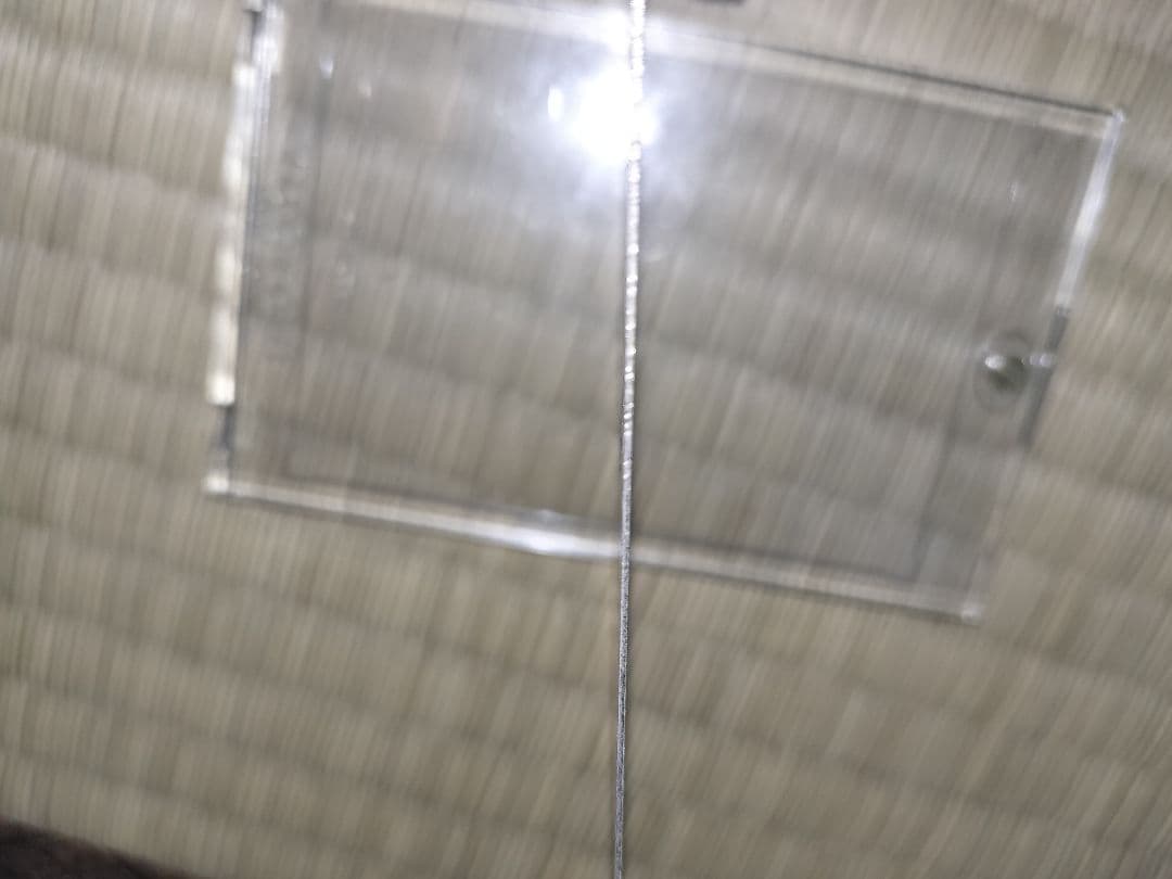 真*介様 真紅眼の黒竜 ウルトラレア 2400/2000 このカードはステンレス