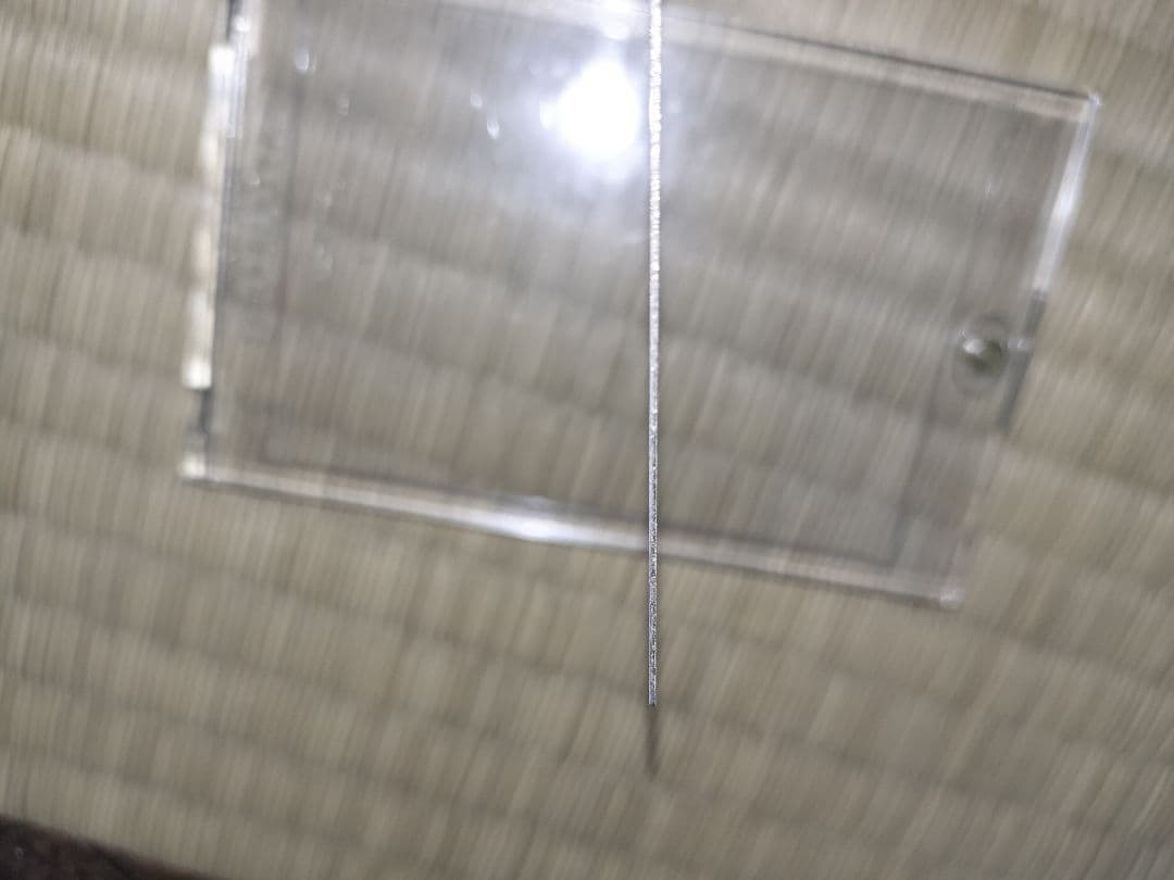 真*介様 真紅眼の黒竜 ウルトラレア 2400/2000 このカードはステンレス