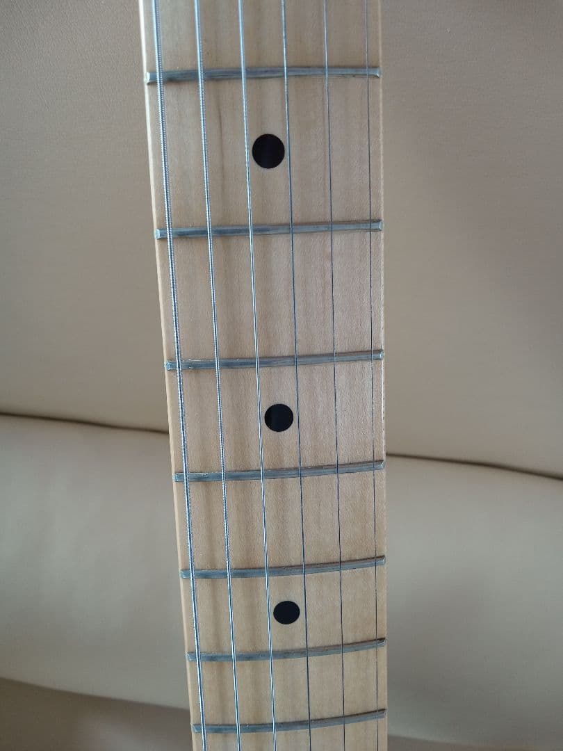 W*R様 FENDER TELECASTER CUSTOM