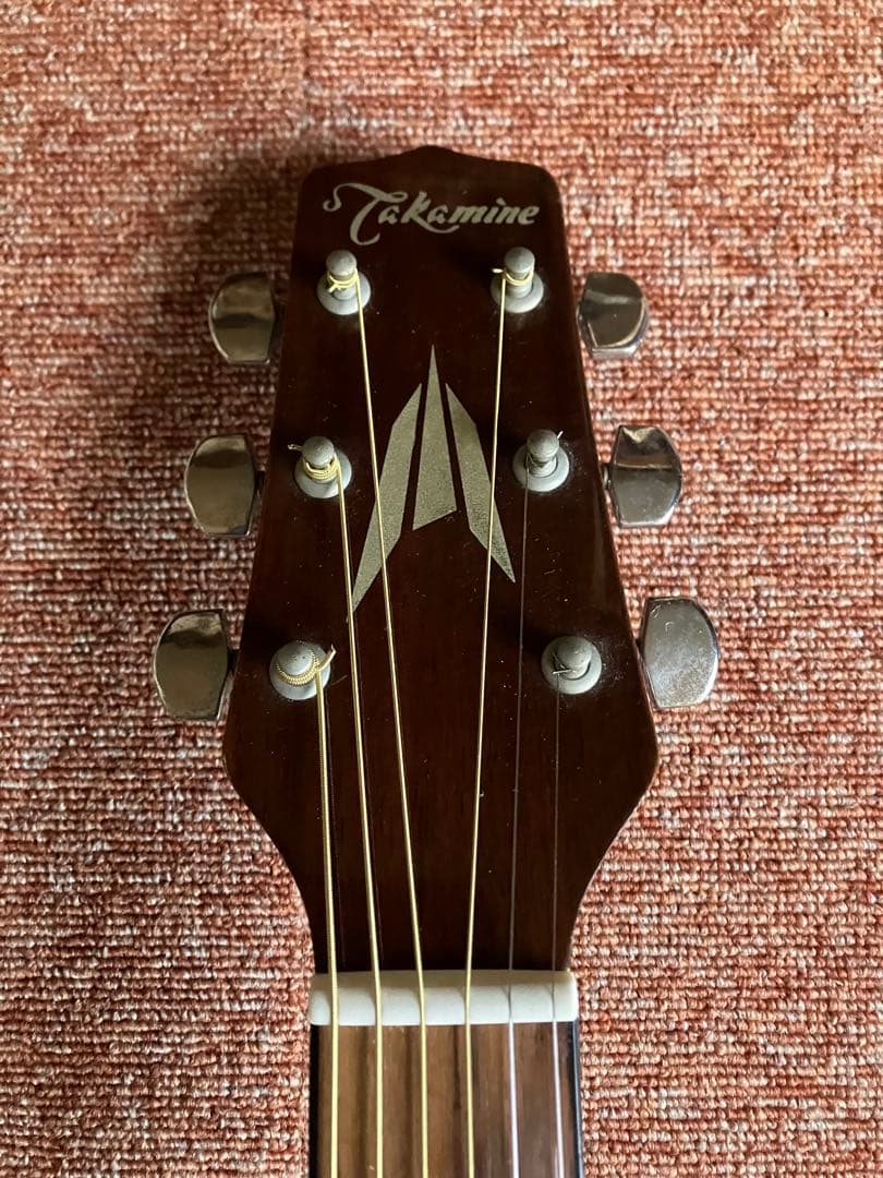 国産 タカミネ Takamine T-1 弦新品