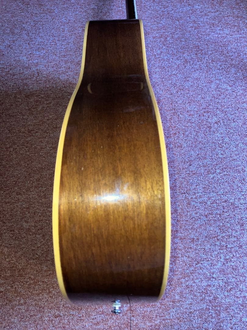 国産 タカミネ Takamine T-1 弦新品