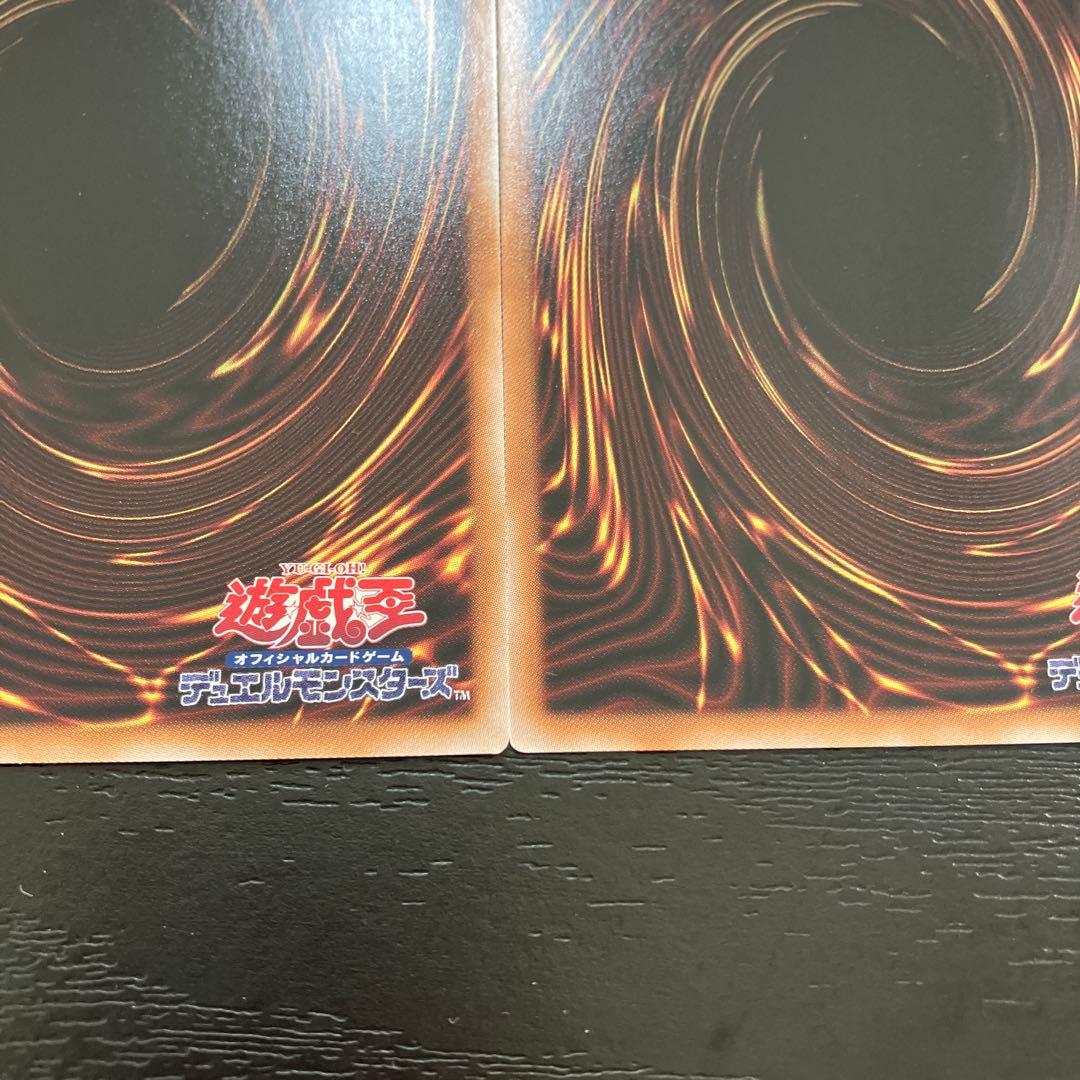 遊戯王　聖域に仕えし練達の魔導師、臨界竜ゲートブリジオ　各1枚セット