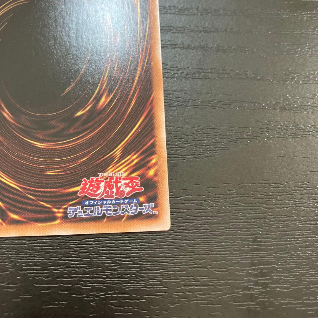 遊戯王　聖域に仕えし練達の魔導師、臨界竜ゲートブリジオ　各1枚セット