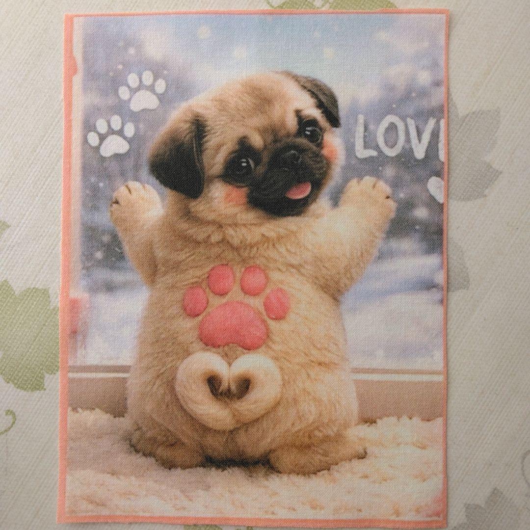 ☆受付☆ パグ・ミニサイズ