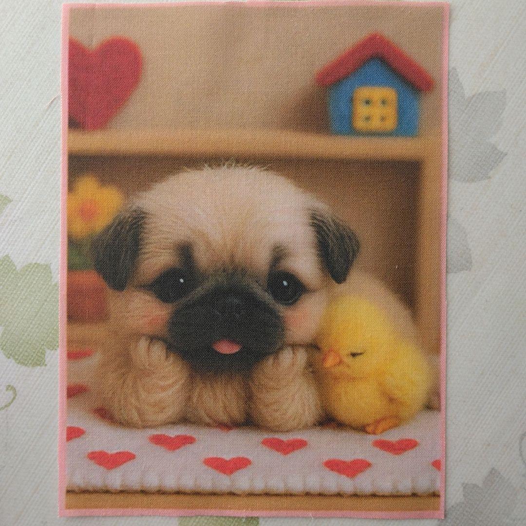 ☆受付☆ パグ・ミニサイズ